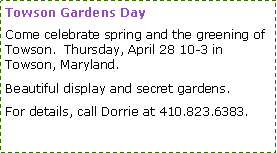 Text Box: Towson Gardens DayCome celebrate spring and the greening of Towson.  Thursday, April 28 10-3 in Towson, Maryland.Beautiful display and secret gardens.For details, call Dorrie at 410.823.6383.